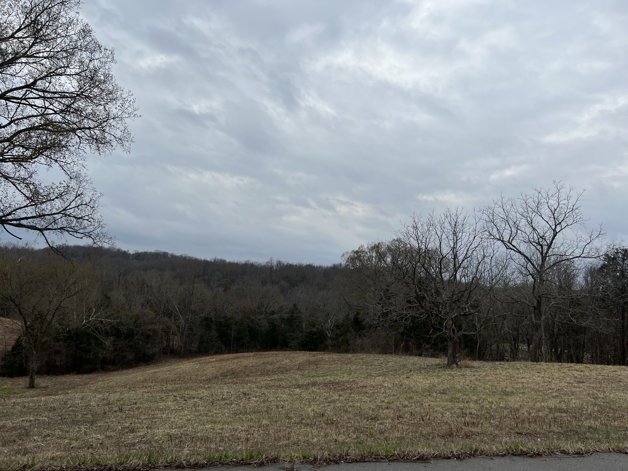 2420 Roberts Road Watertown, TN 37184 - Photo 4 of 15