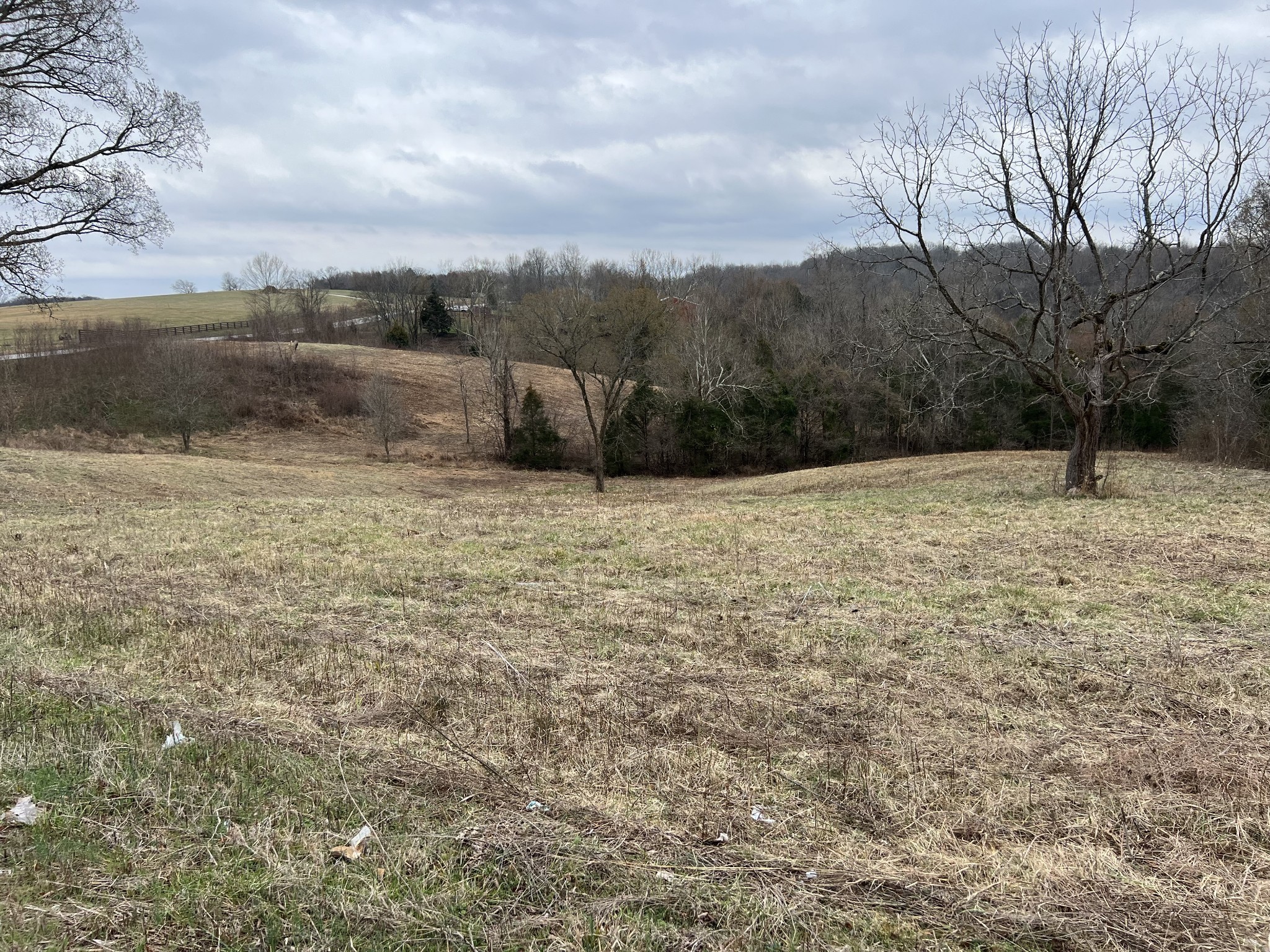 2420 Roberts Road Watertown, TN 37184 - Photo 5 of 15