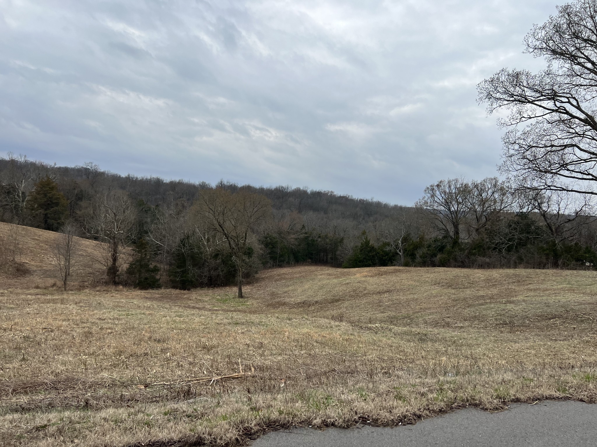 2420 Roberts Road Watertown, TN 37184 - Photo 6 of 15 a view of an outdoor space