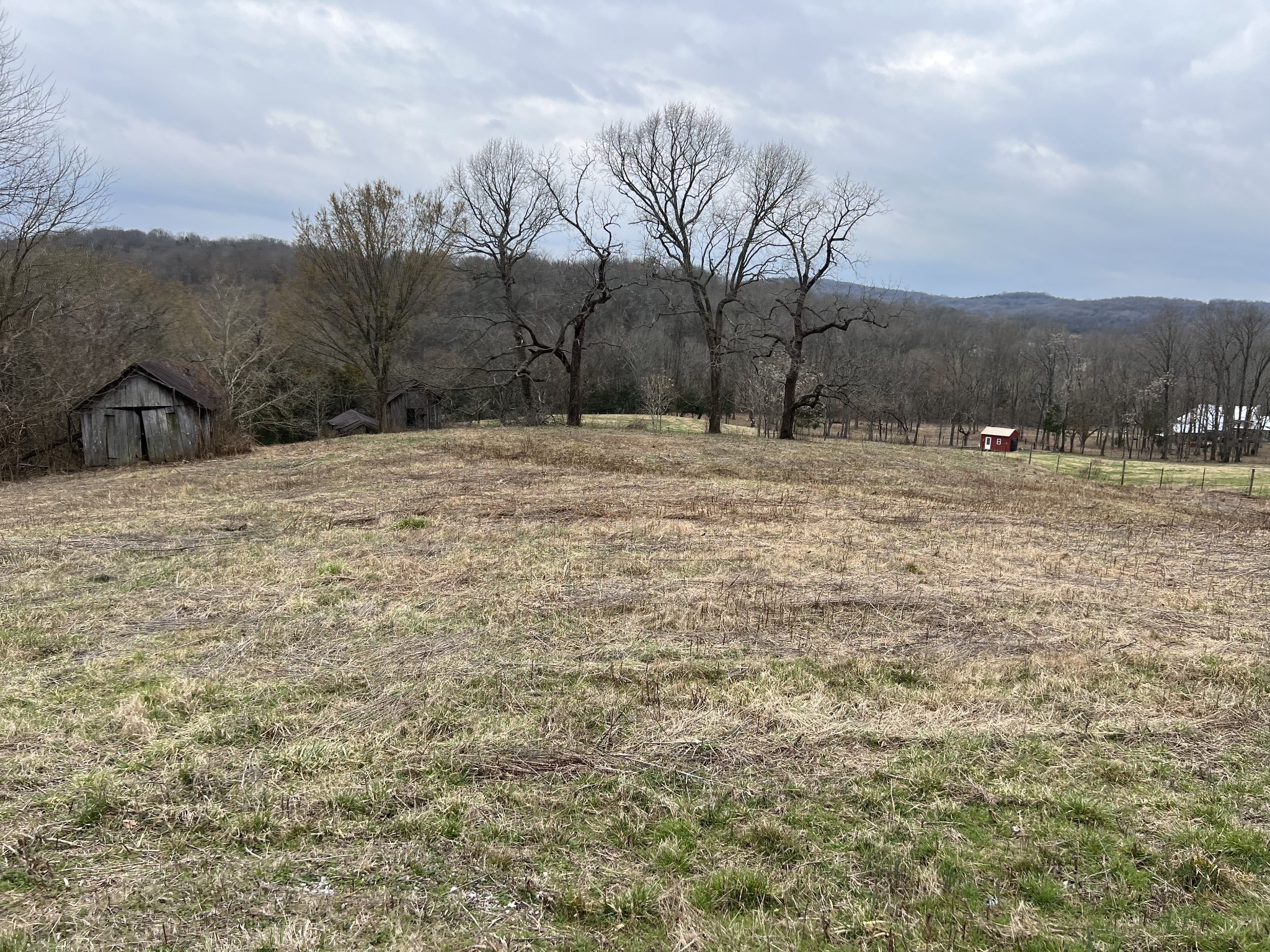 2420 Roberts Road Watertown, TN 37184 - Photo 7 of 15 a view of a yard with a tree