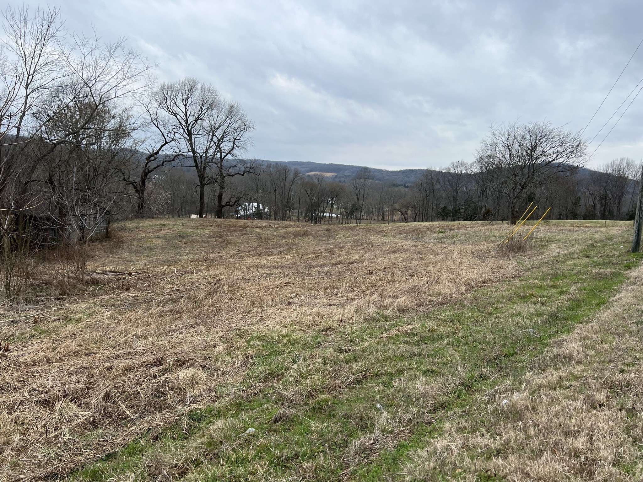 2420 Roberts Road Watertown, TN 37184 - Photo 9 of 15 a view of an outdoor space and trees