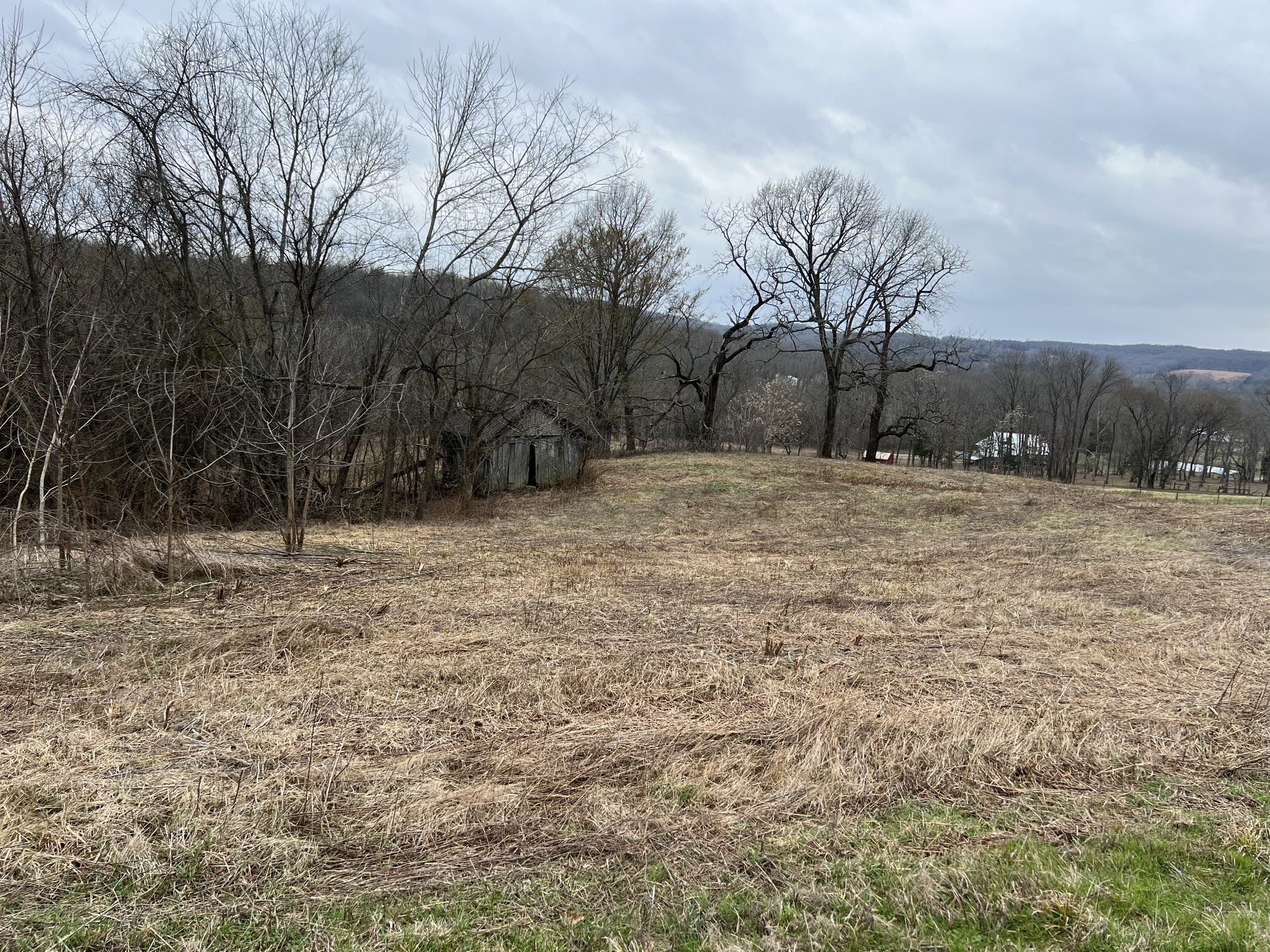 2420 Roberts Road Watertown, TN 37184 - Photo 10 of 15 a fire hydrant in middle of a field