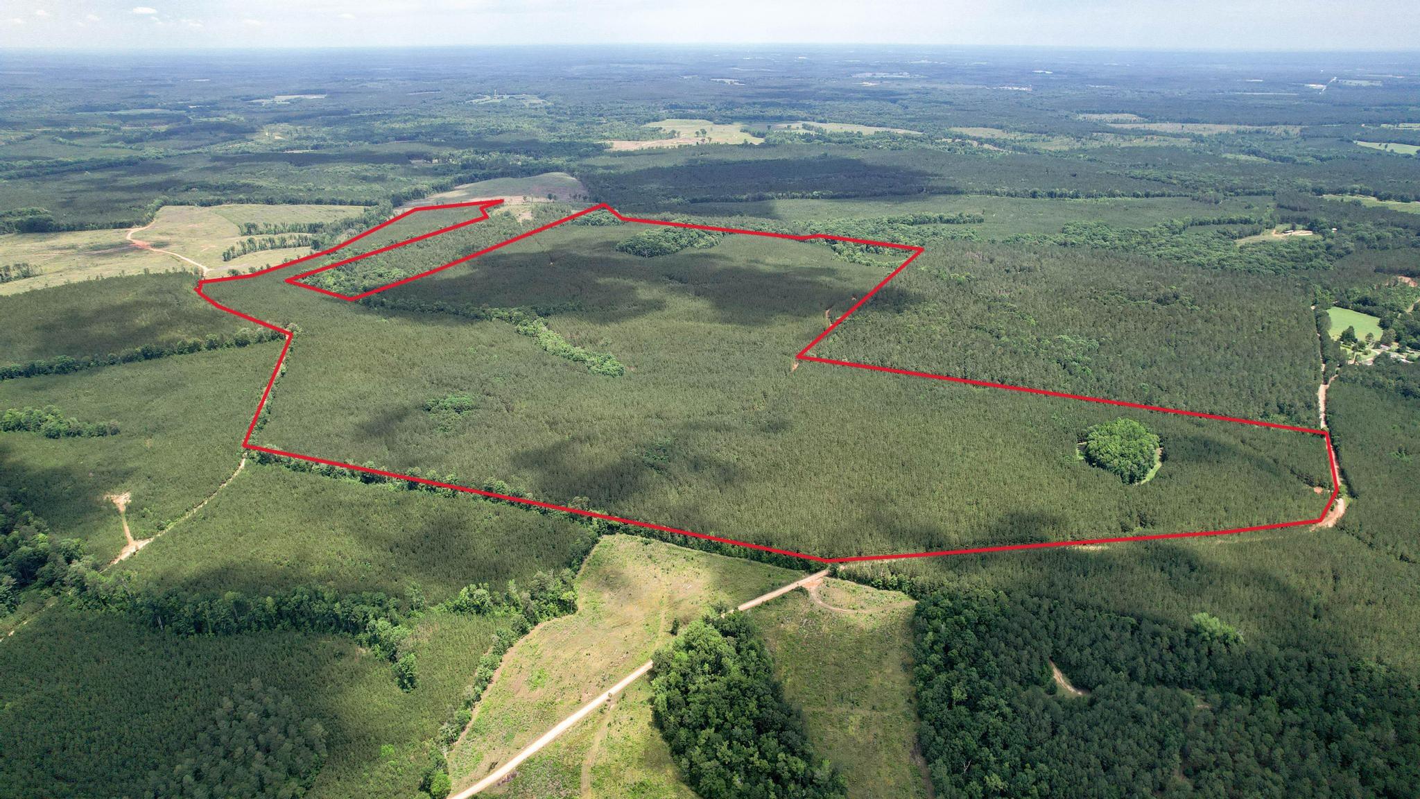 Tbd Pineywood Road, Unit TBD Saluda, SC 29138 - Photo 4 of 17