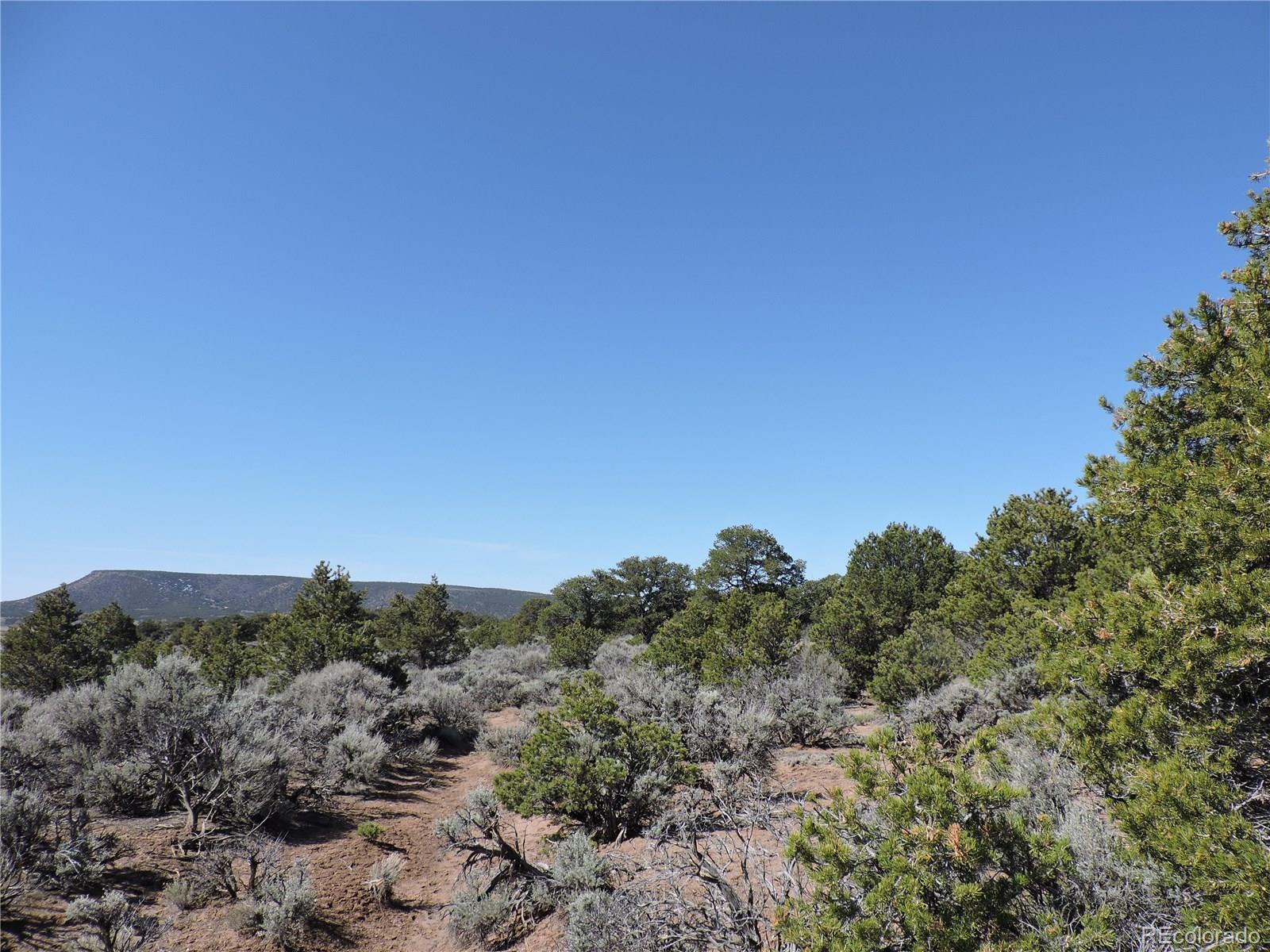 3376 Schieffelin Road Fort Garland, CO 81133 - Photo 3 of 10 Gallery Image 3