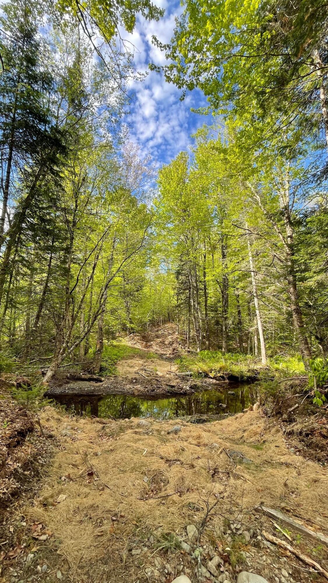 339 Long Pond Road Jackman, ME 04945 - Photo 3 of 30