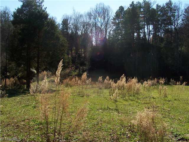 6210 Little Beane Store Road Seagrove, NC 27341 - Photo 7 of 9 Land/Lot. Small Pond Behind House