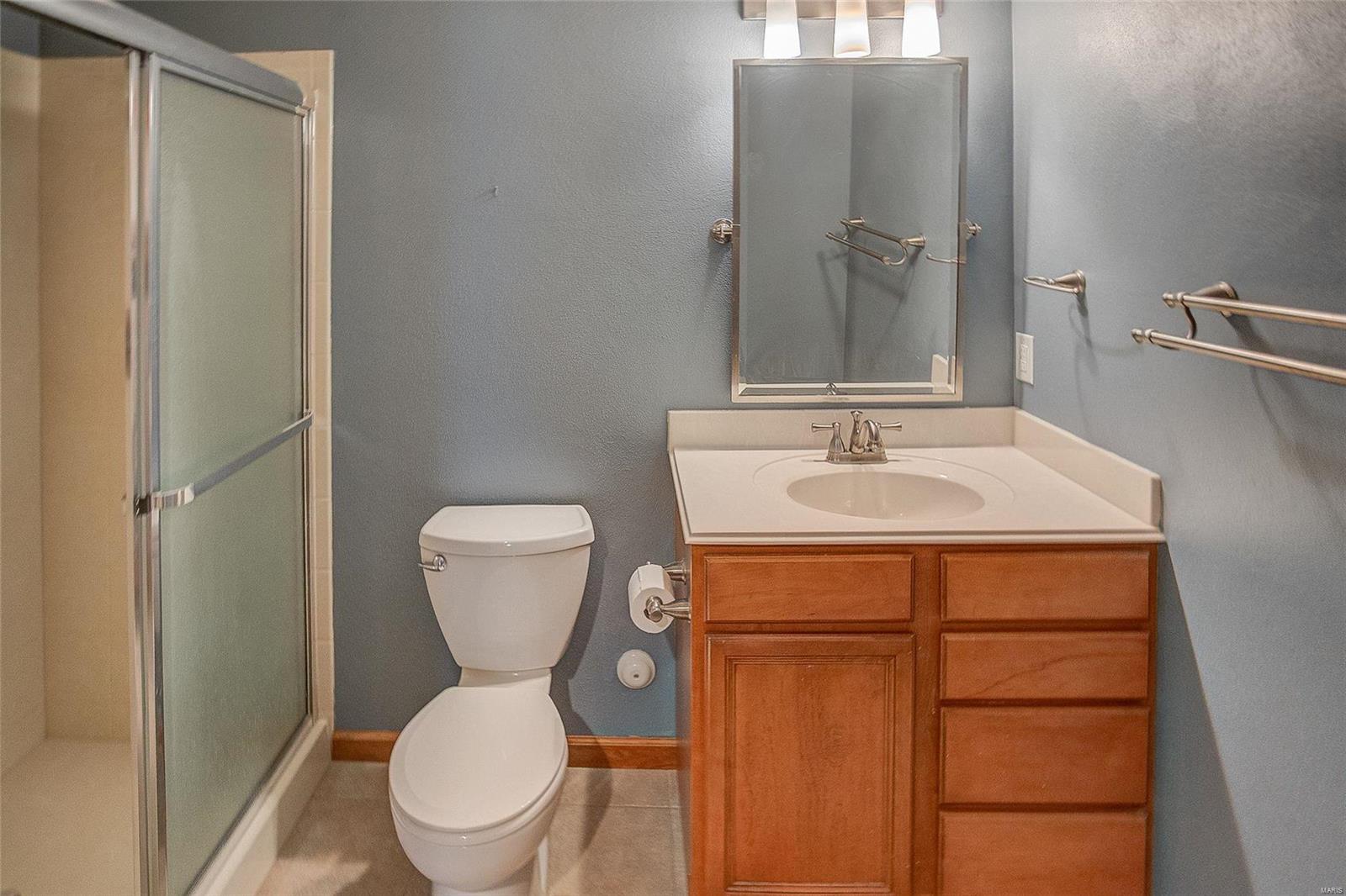 1244 Pheasant Ridge Court Shiloh, IL 62221 - Photo 28 of 35 Gallery Image 28