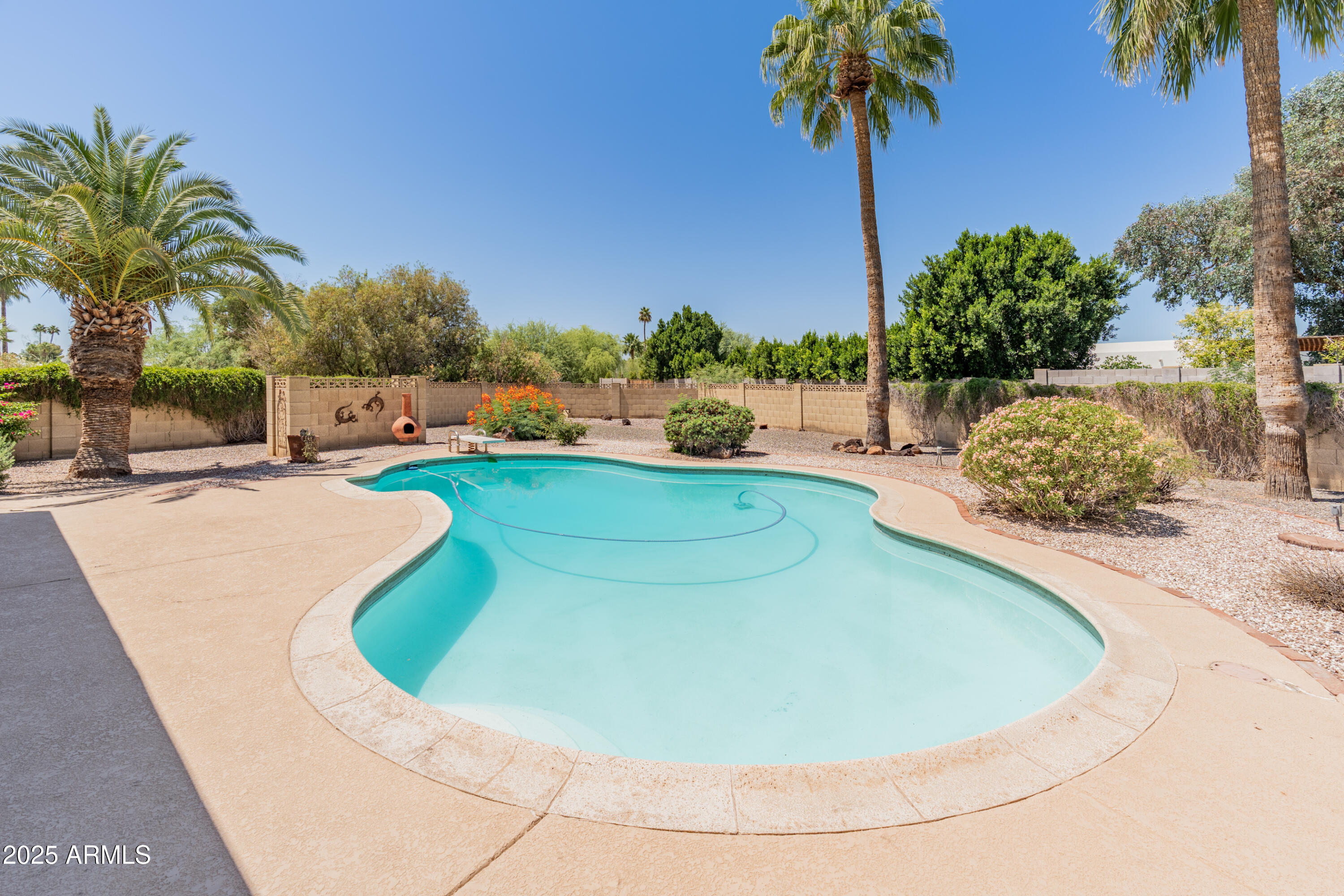 6931 East Pershing Avenue Scottsdale, AZ 85254 - Photo 44 of 59 a view of a swimming pool with a yard and palm trees