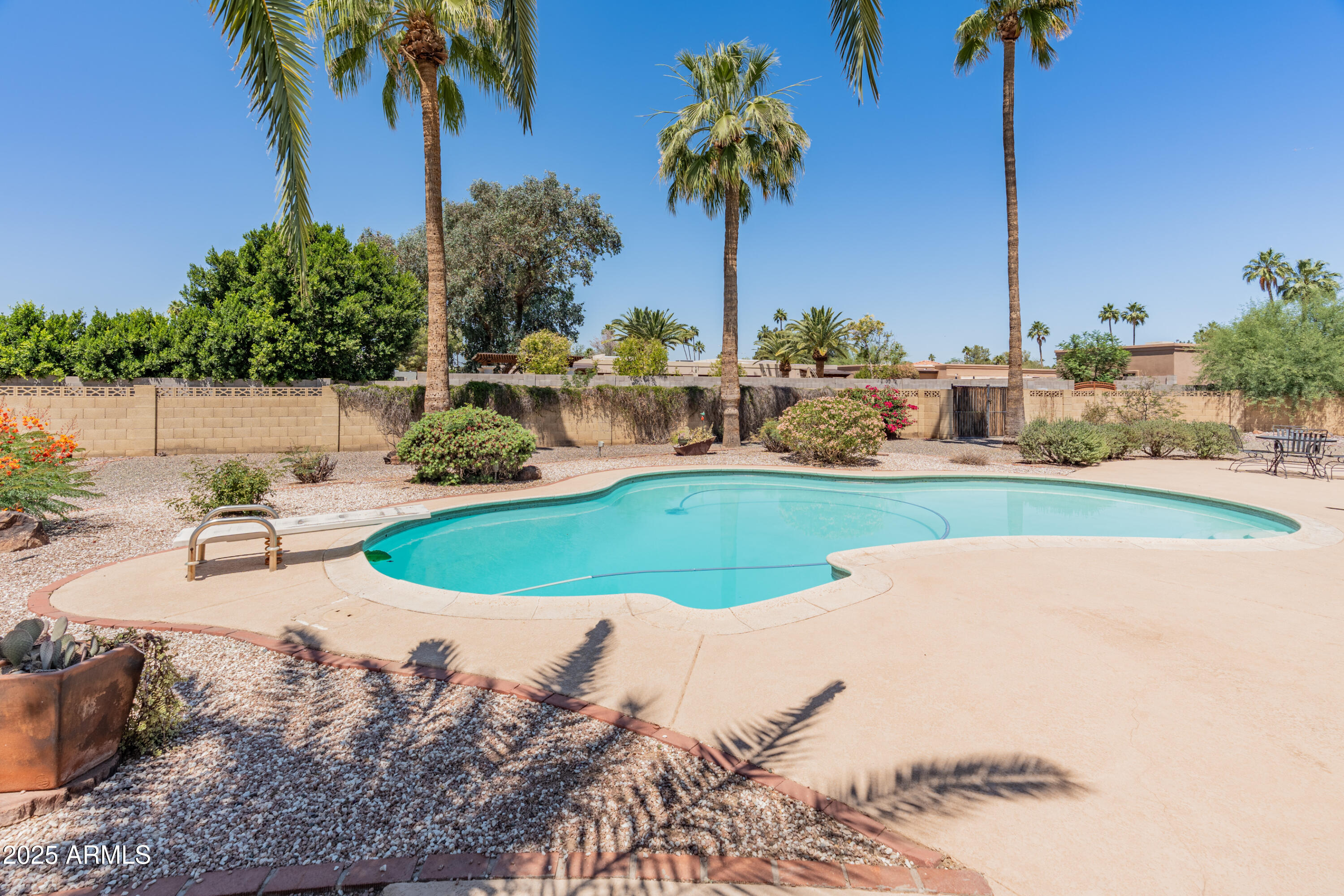 6931 East Pershing Avenue Scottsdale, AZ 85254 - Photo 10 of 59 a view of a swimming pool with a garden