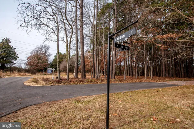 a view of a backyard of the house