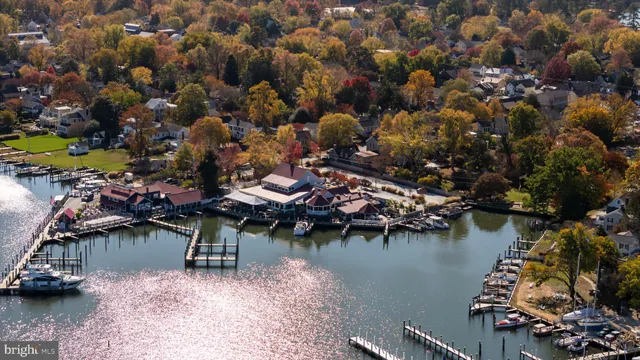 a view of a lake with boats and trees all around
