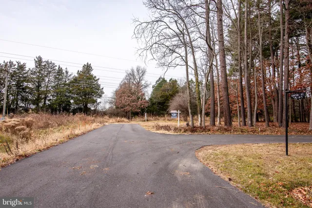 a view of dirt yard with large trees