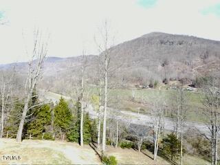 164 Kermit Day Road Big Stone Gap, VA 24219 - Photo 65 of 73 10