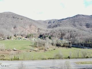 164 Kermit Day Road Big Stone Gap, VA 24219 - Photo 66 of 73 11