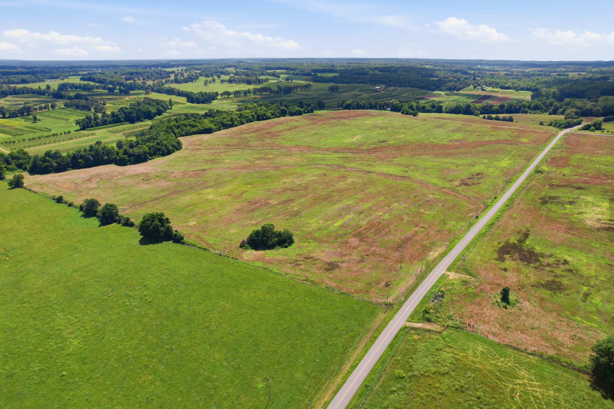 8363 West Green Hill Road Smithville, TN 37166 - Photo 4 of 13