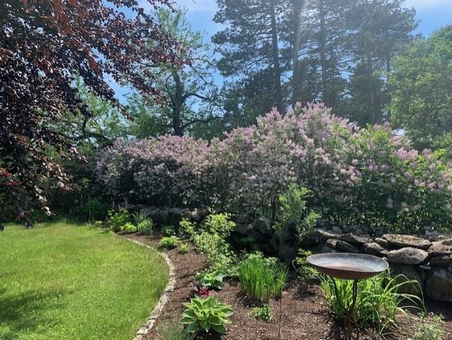 93 Rhododendron Road Fitzwilliam, NH 03447 - Photo 13 of 59 Gallery Image 13