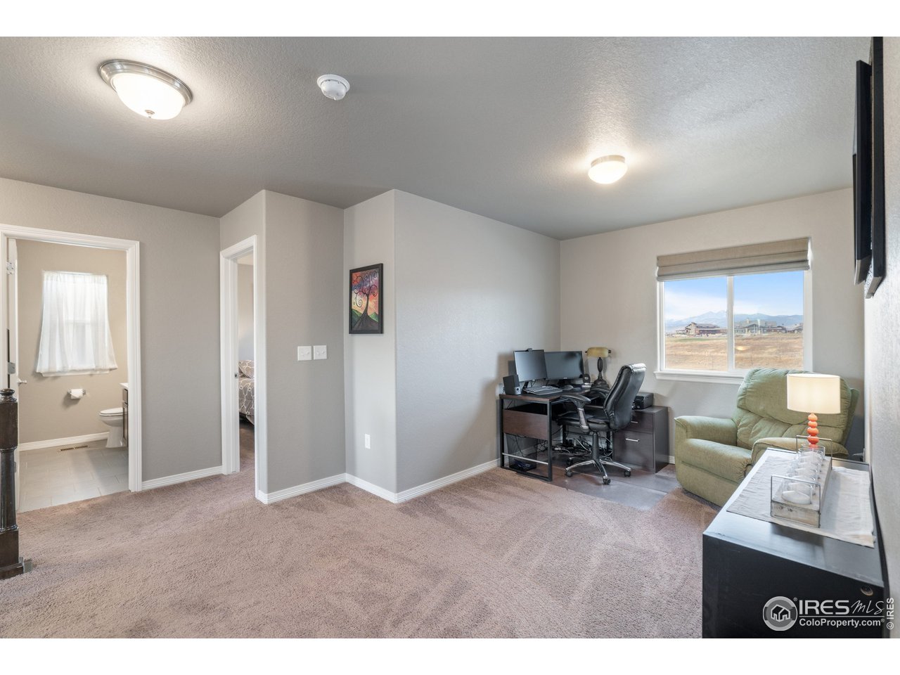 2499 Likens Drive Berthoud, CO 80513 - Photo 17 of 33 a living room with furniture and a piano