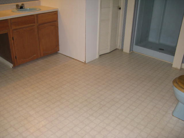 408 Earl Garner Road Ringgold, GA 30736 - Photo 10 of 15 Master Bath