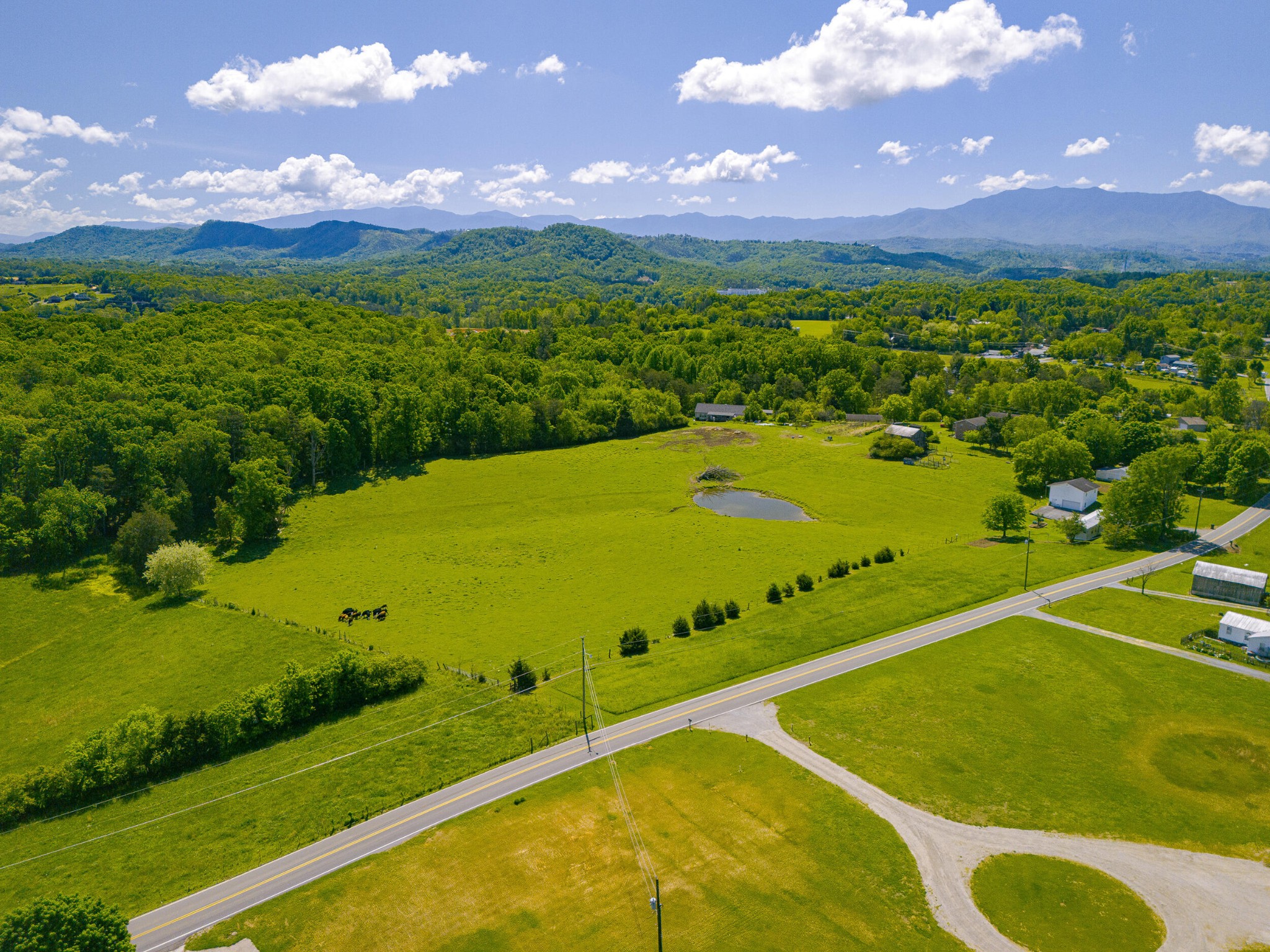 1689 Ridge Road Sevierville, TN 37862 - Photo 2 of 61