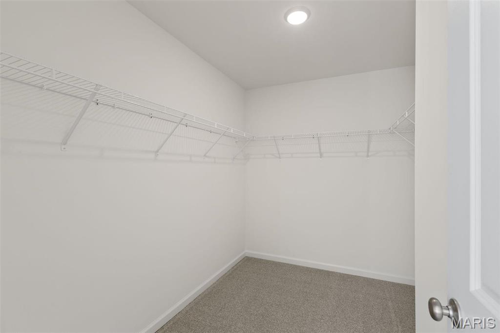 18404 Boone Rdg Mnr Drive Truesdale, MO 63380 - Photo 20 of 29