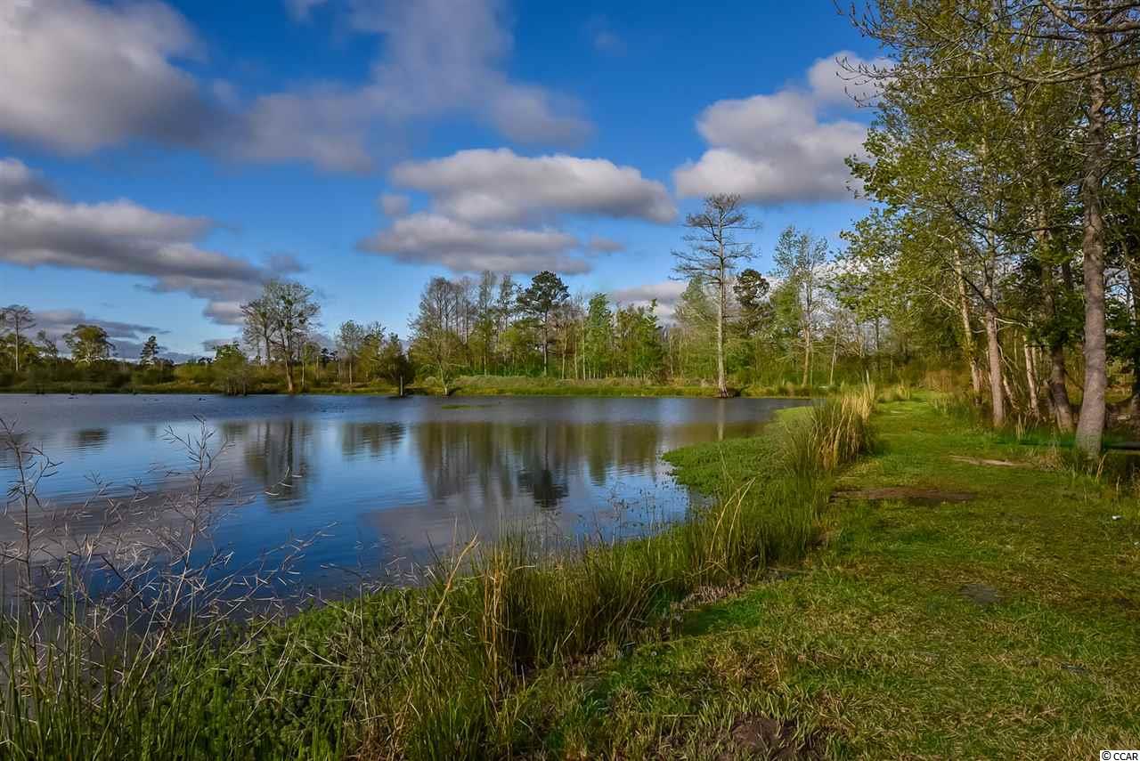 4449 Old Buck Creek Road Longs, SC 29568 - Photo 6 of 30 Gallery Image 6