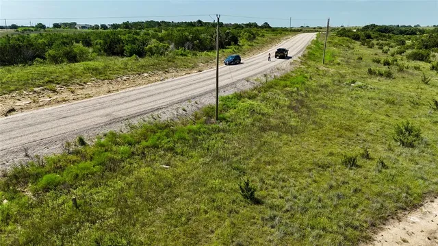 a view of a yard with plants and a trees