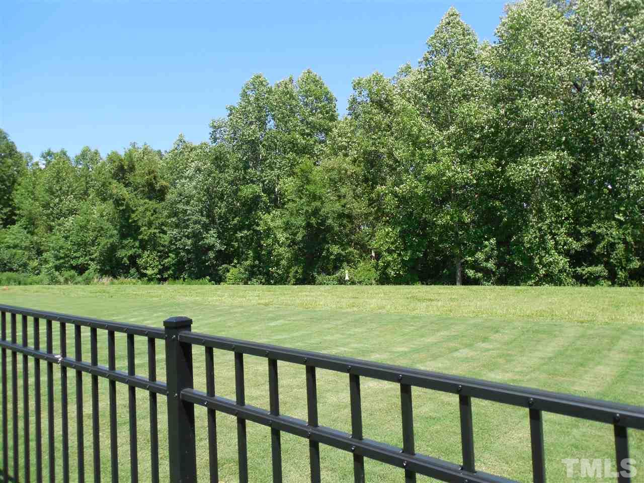 345 Liberty Star Road Wendell, NC 27591 - Photo 28 of 30 The lot extends beyond the wrought iron fence.