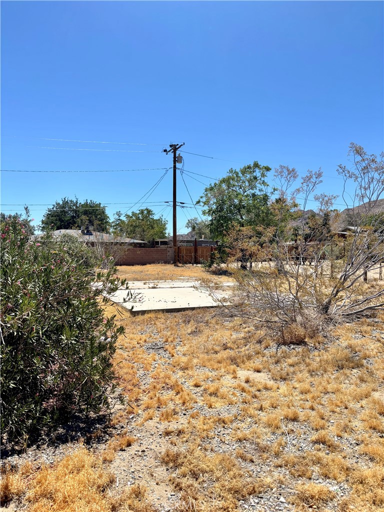 62027 Valley View Circle Joshua Tree, CA 92252 - Photo 15 of 20 a view of a yard with a tree