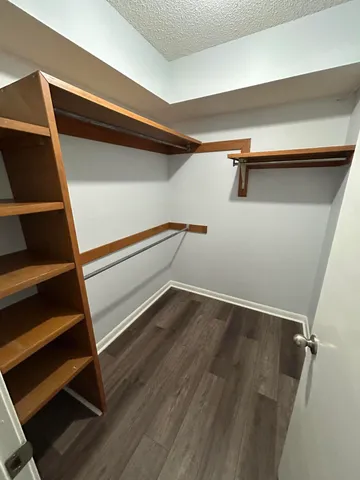 a view of an empty walk in closet