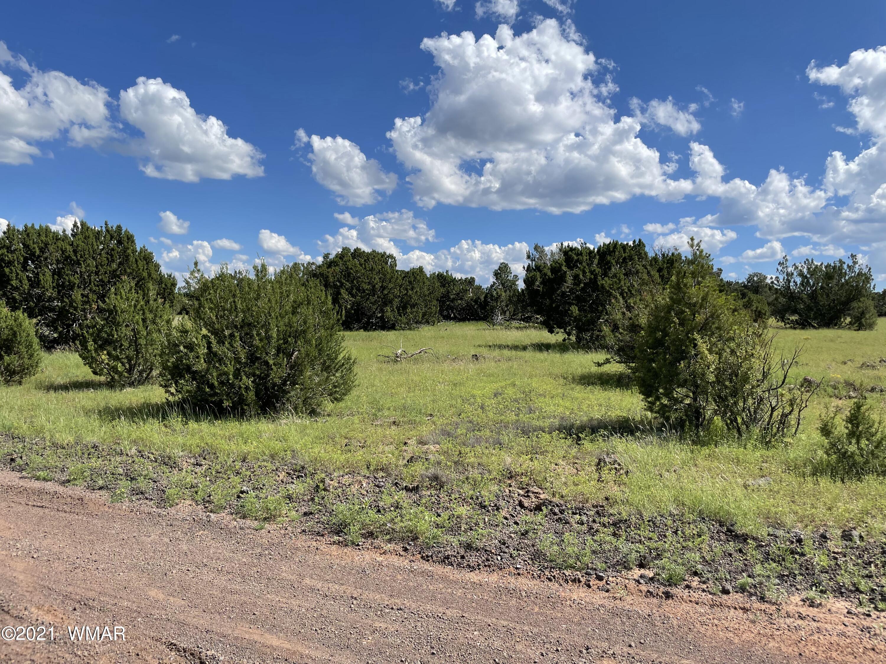 81 County Road Concho, AZ 85924 - Photo 1 of 5