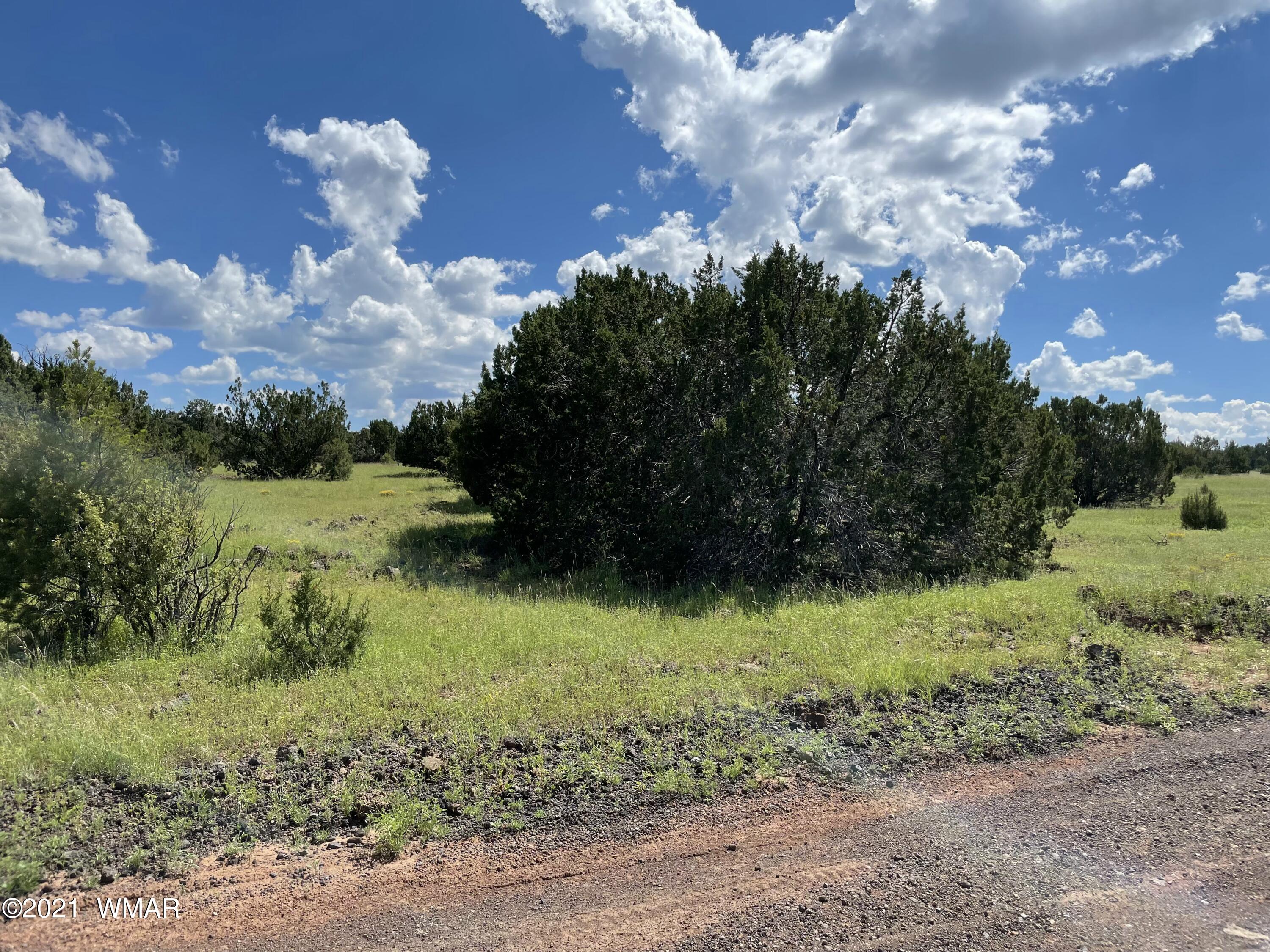 81 County Road Concho, AZ 85924 - Photo 2 of 5