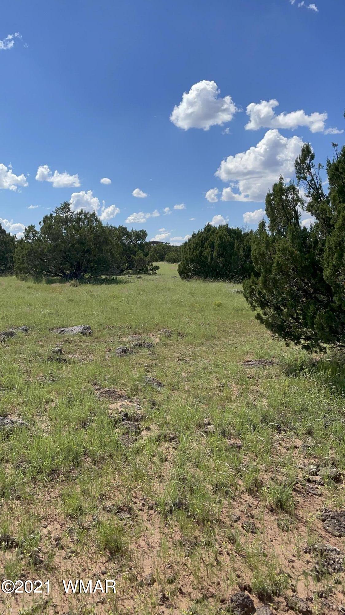 81 County Road Concho, AZ 85924 - Photo 3 of 5