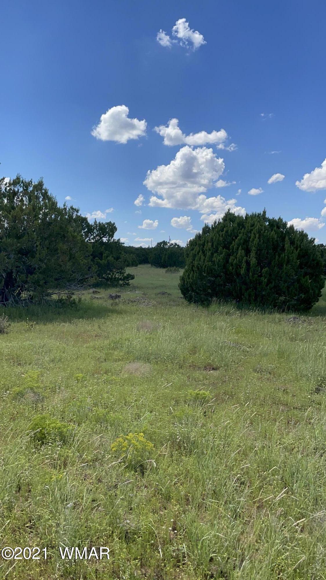 81 County Road Concho, AZ 85924 - Photo 5 of 5