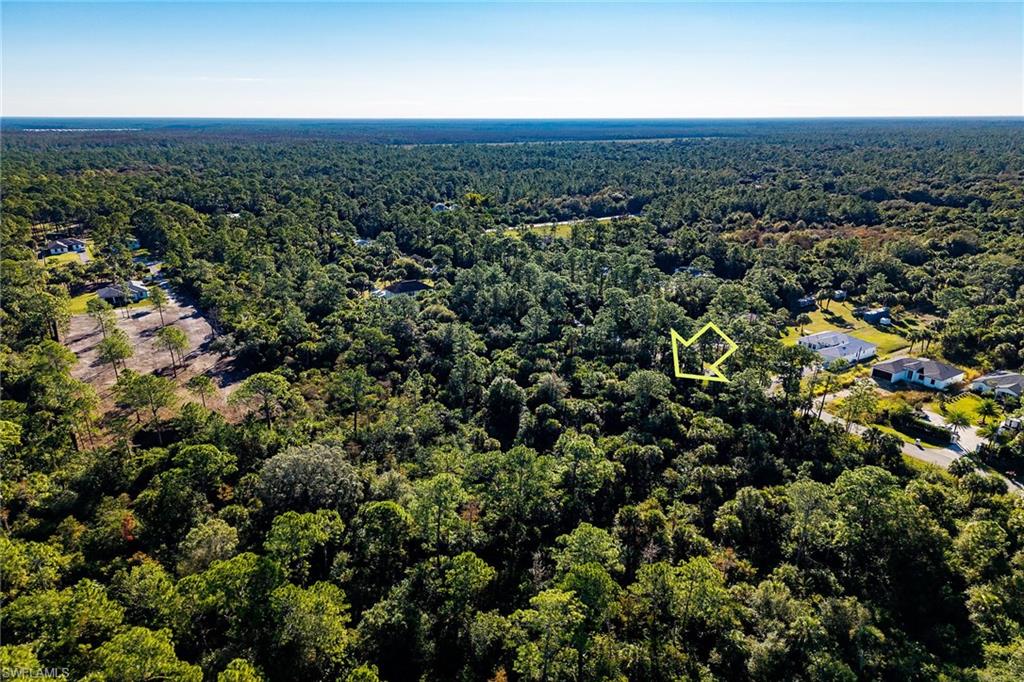 4431 16th Avenue Southeast Naples, FL 34117 - Photo 16 of 21 an aerial view of house with yard and mountain view in back
