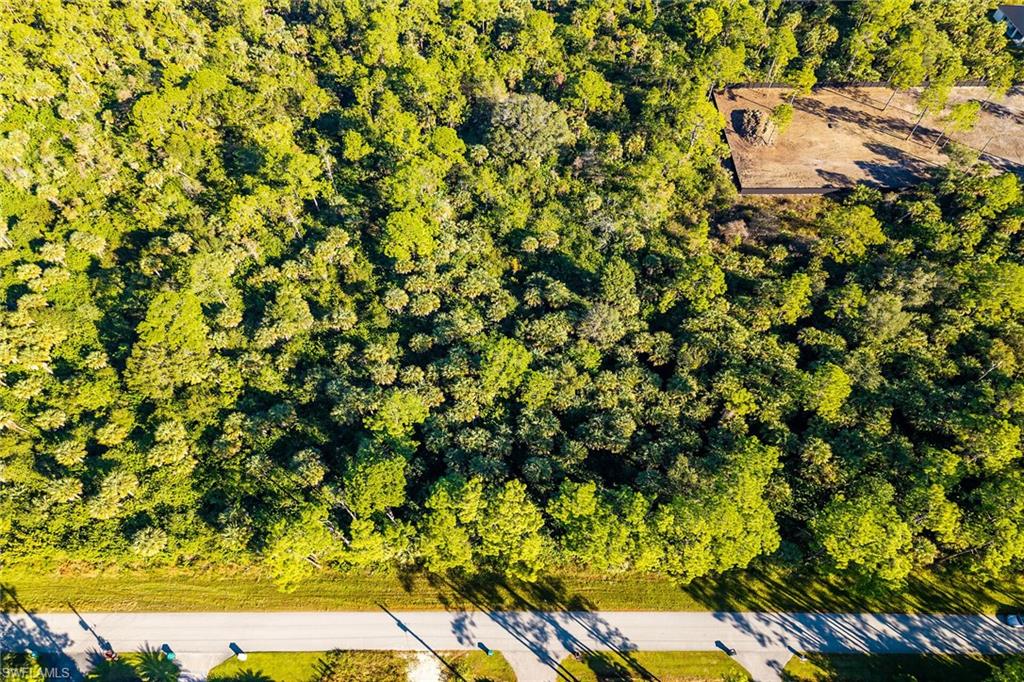 4431 16th Avenue Southeast Naples, FL 34117 - Photo 19 of 21
