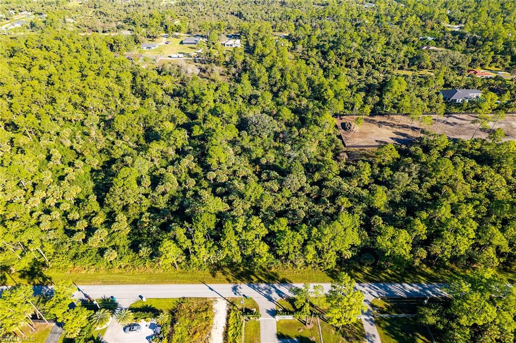 4431 16th Avenue Southeast Naples, FL 34117 - Photo 20 of 21 a view of a yard with plants