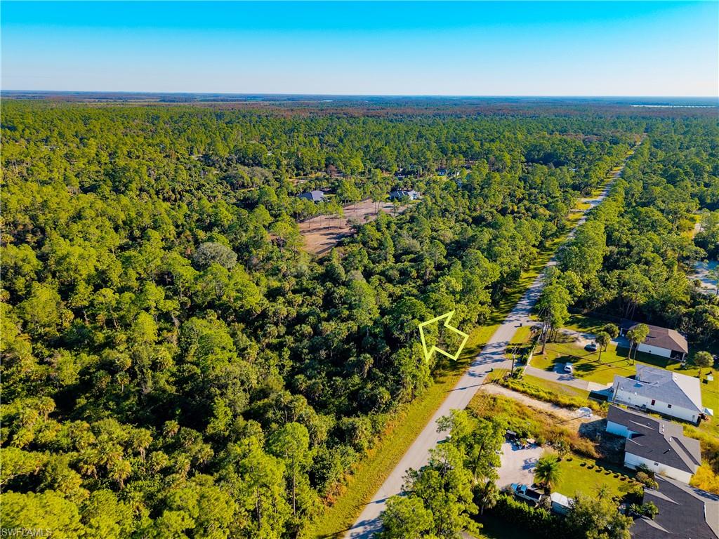 4431 16th Avenue Southeast Naples, FL 34117 - Photo 4 of 21 a view of a large yard
