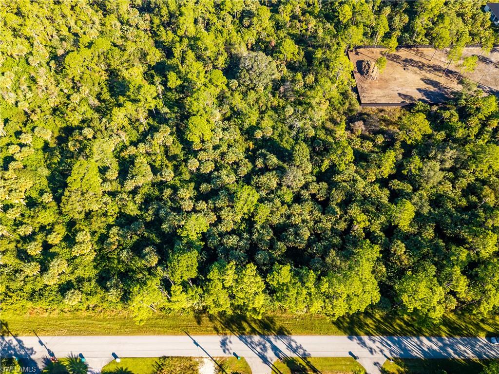 4431 16th Avenue Southeast Naples, FL 34117 - Photo 9 of 21 a backyard of a house with lots of green space