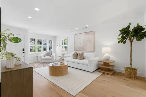 a living room with furniture and a potted plant