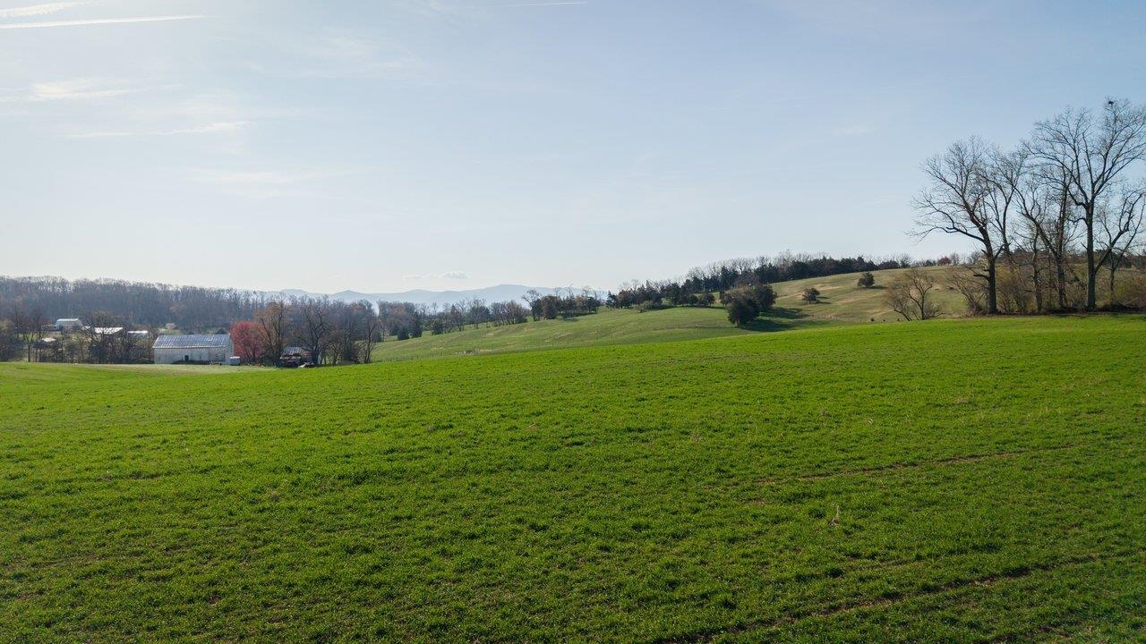 0 Koiner Ford Road Mount Crawford, VA 22841 - Photo 1 of 14 Could be a great site for a home with a walk out basement.