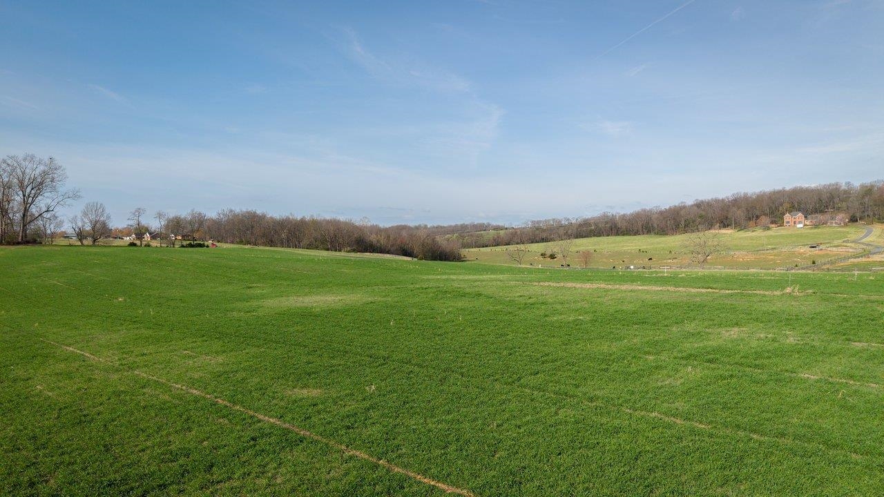 0 Koiner Ford Road Mount Crawford, VA 22841 - Photo 4 of 14