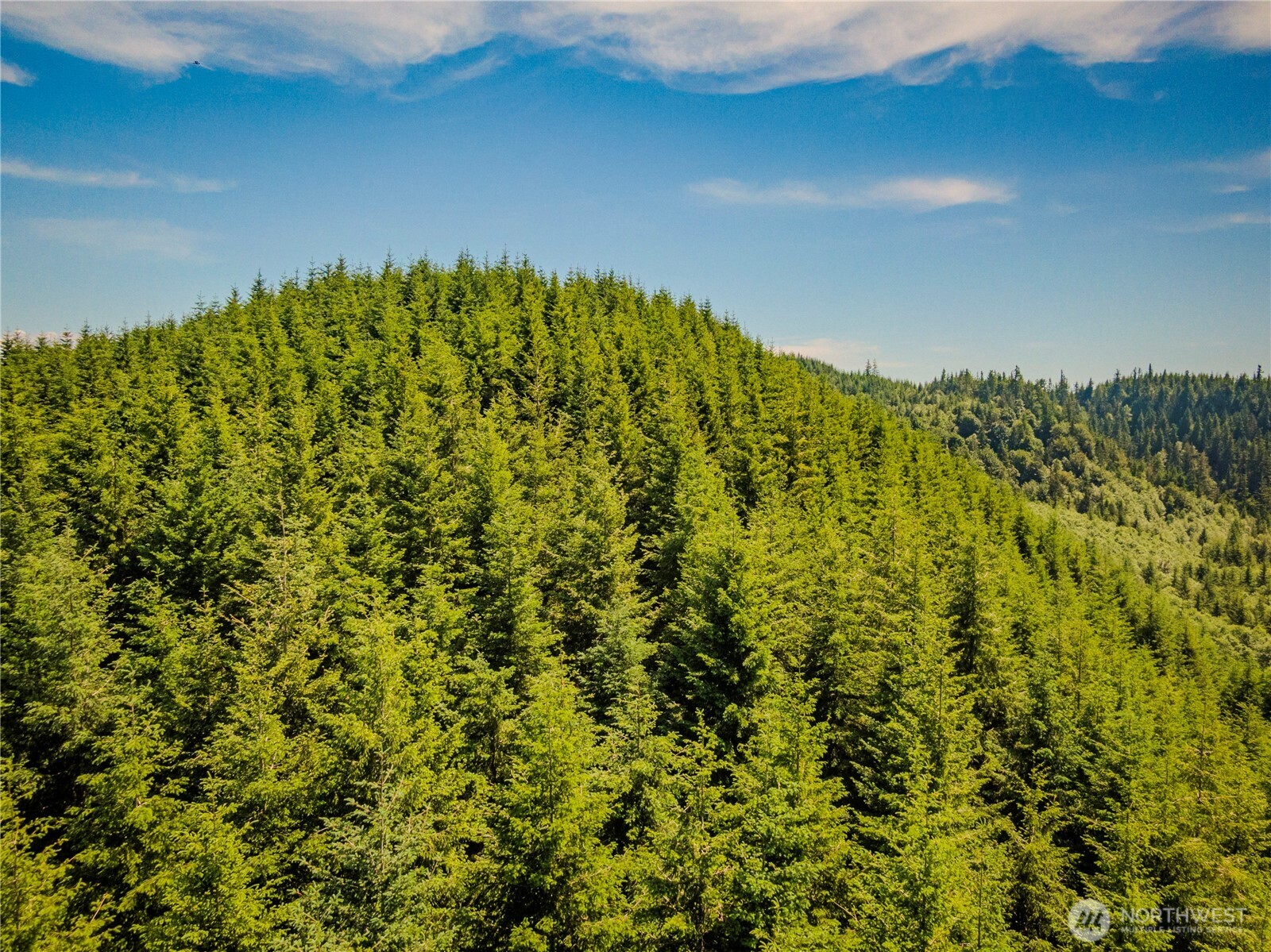 0 Redstone Way Mount Vernon, WA 98274 - Photo 28 of 35