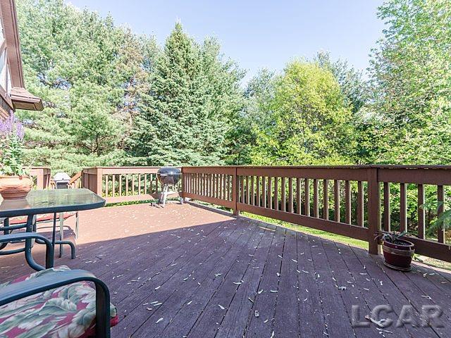 6779 West Munger Road Onsted, MI 49265 - Photo 20 of 46 31244419-19.JPG