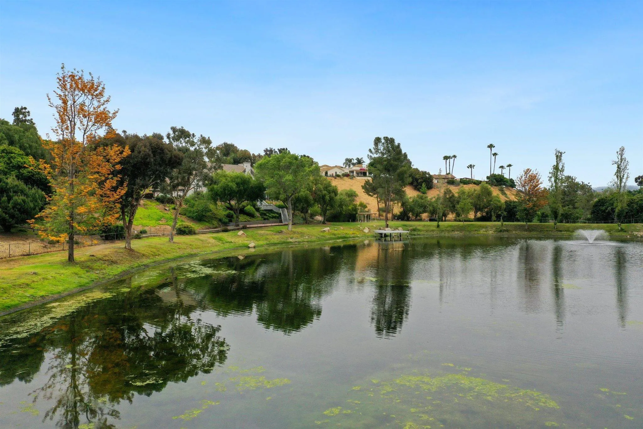 4349 Fallsbrae Road Fallbrook, CA 92028 - Photo 55 of 68 a backyard of a house with lots of green space