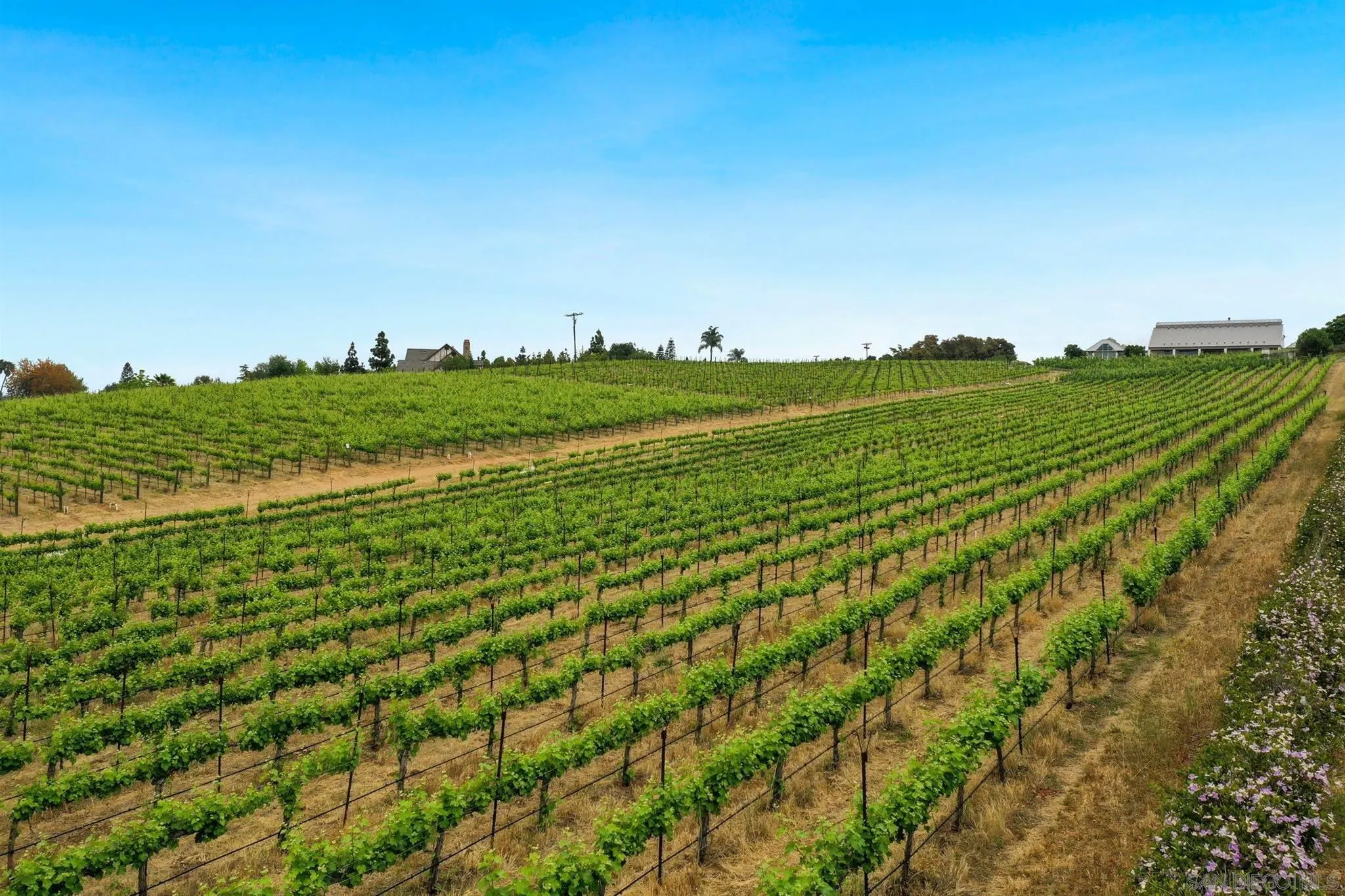 4349 Fallsbrae Road Fallbrook, CA 92028 - Photo 63 of 68 a view of a lush green field