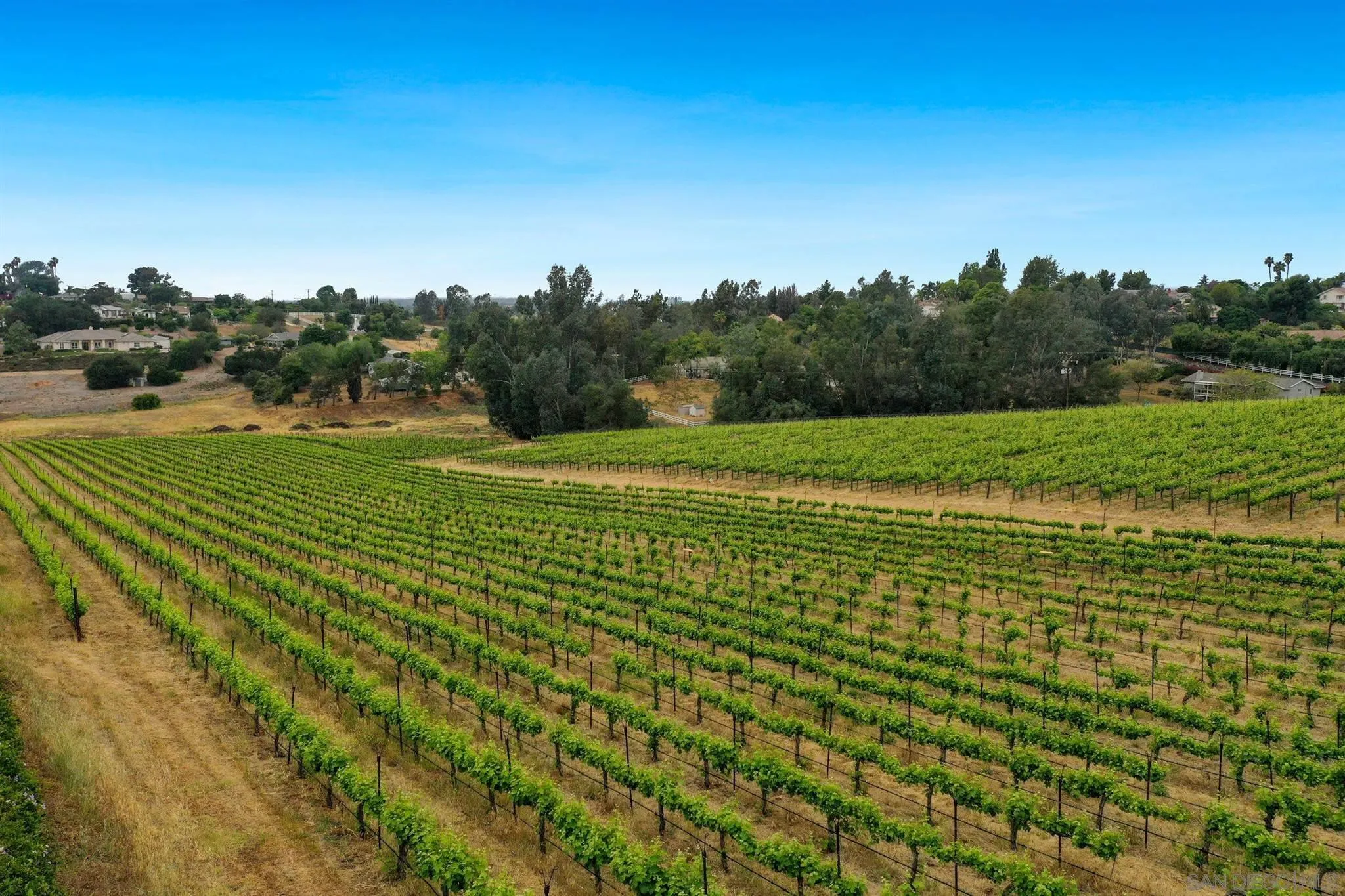 4349 Fallsbrae Road Fallbrook, CA 92028 - Photo 64 of 68 a view of an outdoor space and a yard