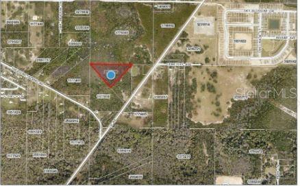 44 County Road Leesburg, FL 34788 - Photo 5 of 6