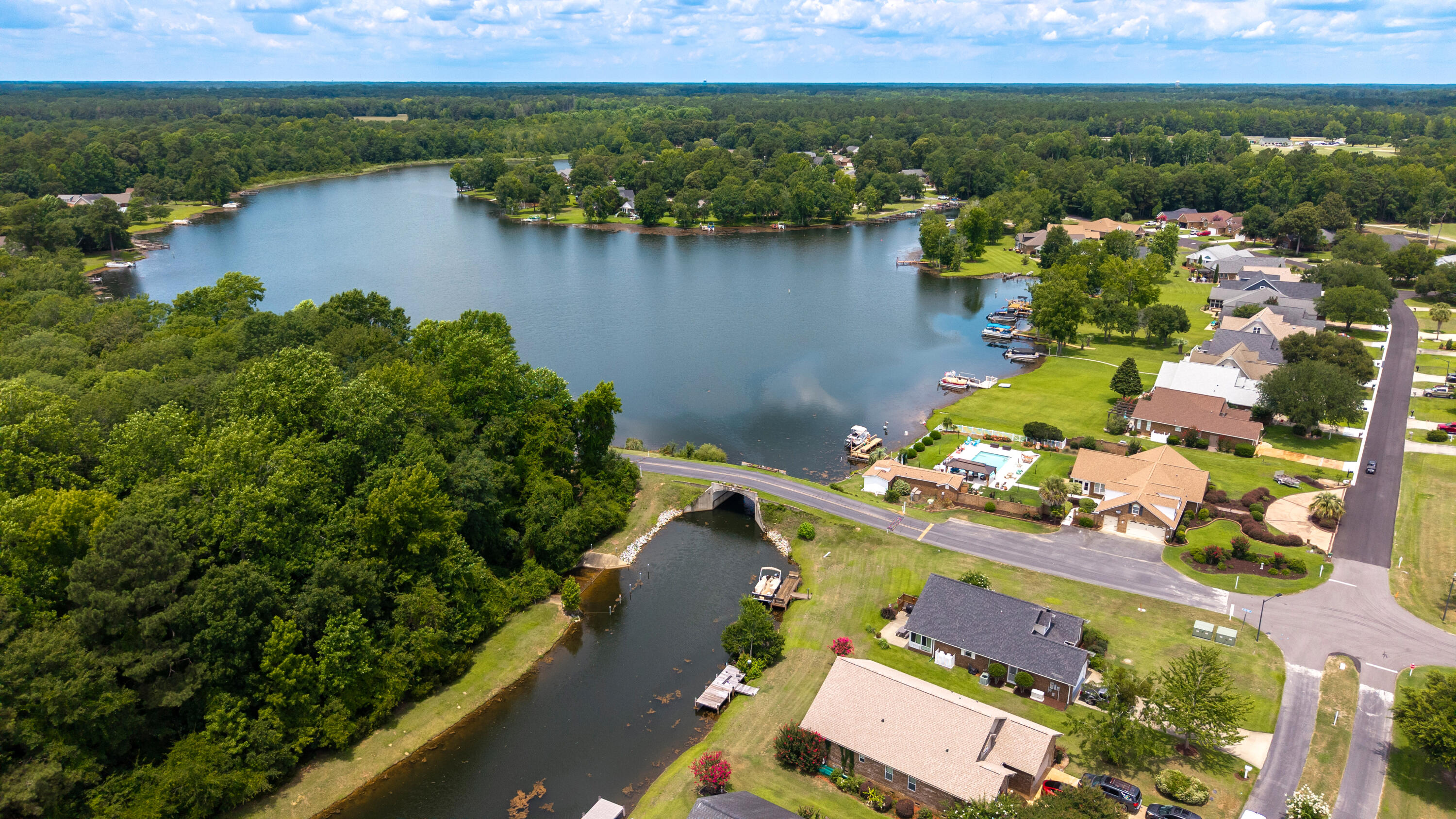 85 Ridge Lake Drive Manning, SC 29102 - Photo 45 of 62 LAKE ARBU TO THE RIGHT