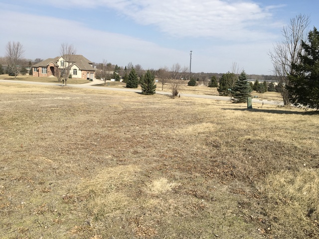 7397 English Oak Lane Spring Grove, IL 60081 - Photo 3 of 4