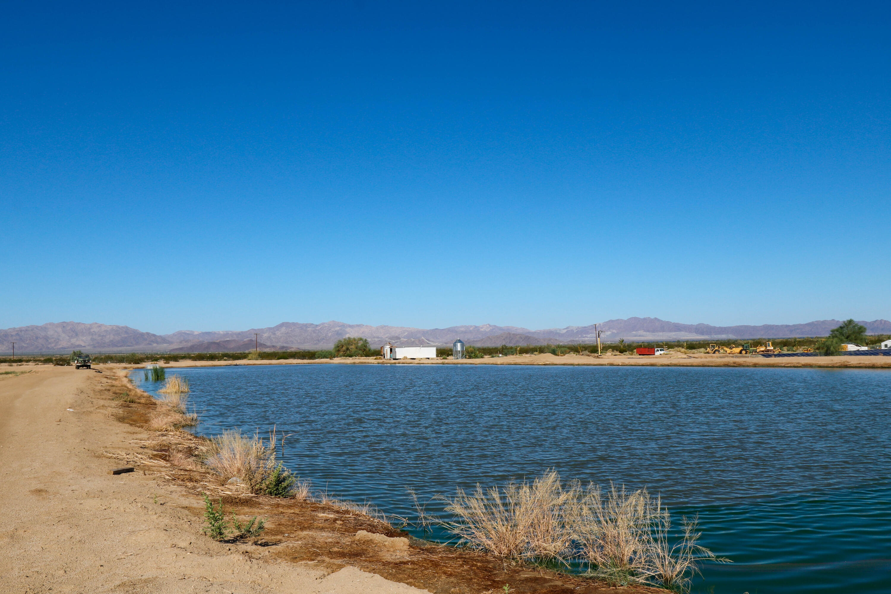 24511 Rice Road Desert Center, CA 92239 - Photo 63 of 65 Fish Pond-21